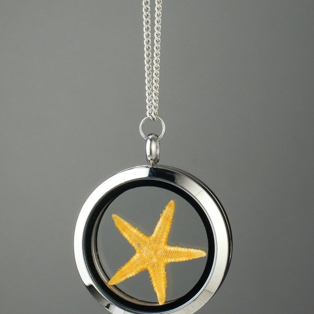 Amuletas geltona jūros žvaigždė