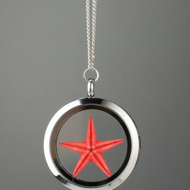 Amuletas su raudona jūros žvaigžde