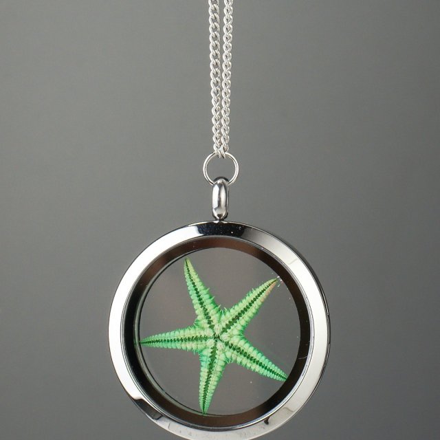 Amuletas žalia jūros žvaigždė
